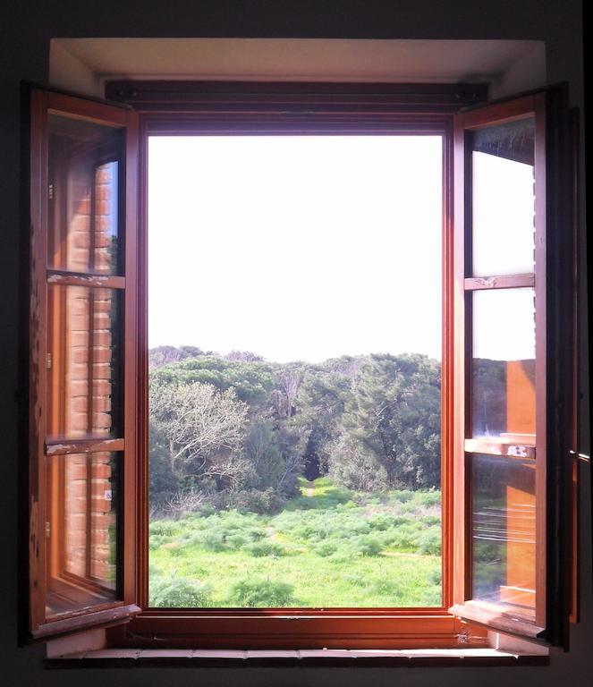 Locanda Oceano Mare Bed and Breakfast San Vincenzo Rum bild